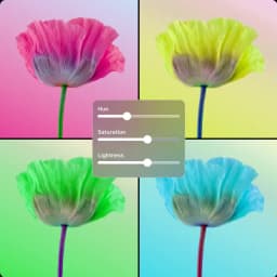 Immagine HSL placeholder