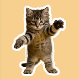 Schema dell'immagine placeholder