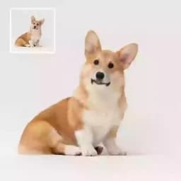 Da immagine a video placeholder